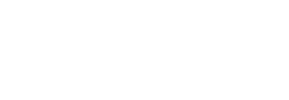 Brevy