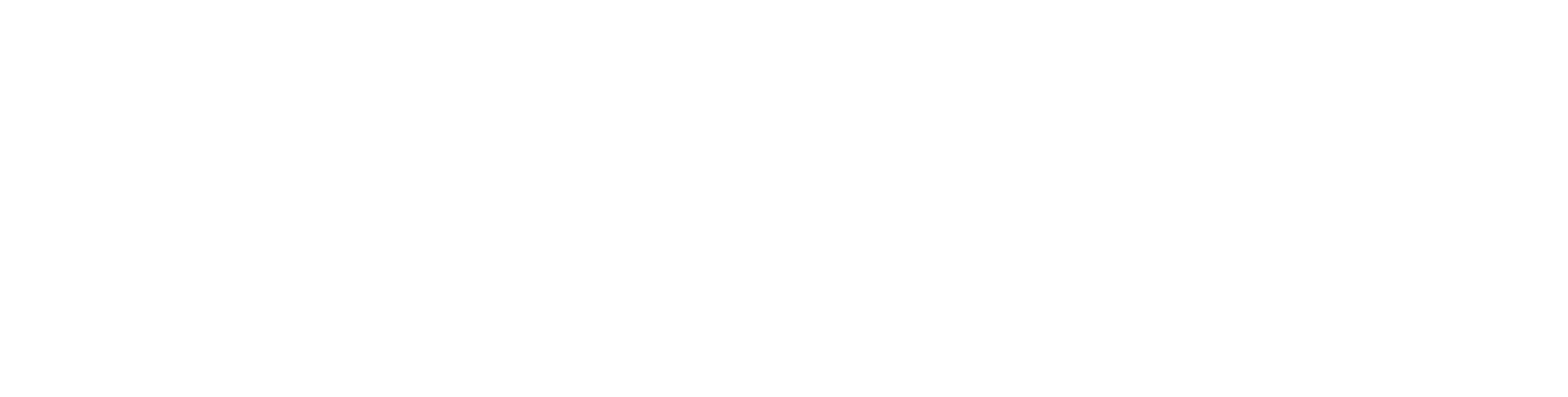 Runlayer